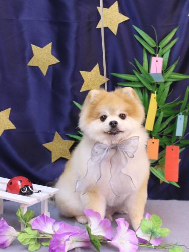 20230715モコくん